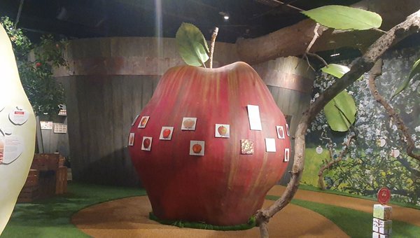 Foto von einem Apfel