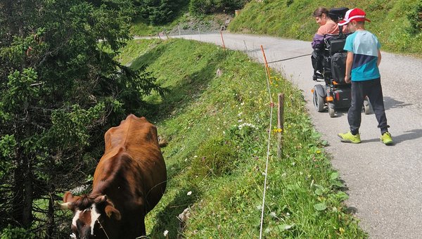 Rollstuhlfahrerin mit Kindern am Wandern