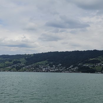 Ausblick auf das Seeufer