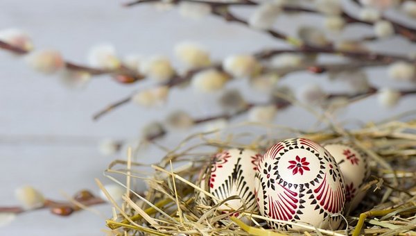 Foto mit Ostereier und Weidenkätzchen