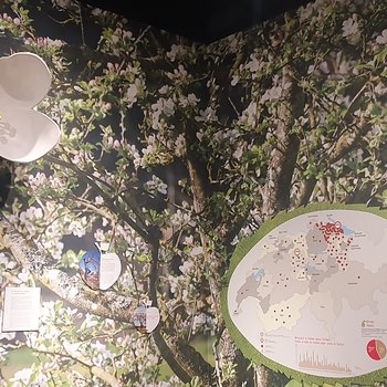 Foto Ausstellung Ramseier Erlebniswelt